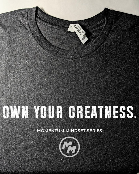 OWN YOUR GREATNESS   Premium Tri-Blend Tee